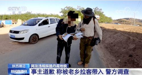 邳州网红吃瓜事件始末,一场网络舆论的风暴与反思