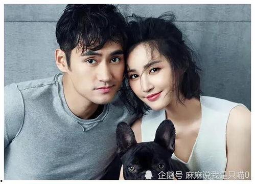 娱乐圈吃瓜大秘籍,一网打尽明星幕后秘闻与八卦风云