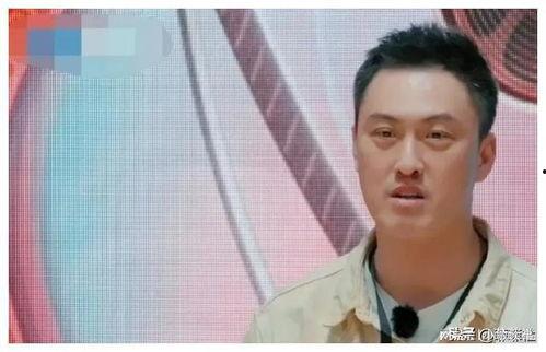 娱乐圈吃瓜教主小说,吃瓜教主揭秘幕后风云